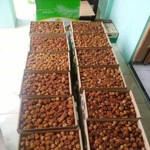 stok kurma solo