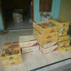 jual kurma golden valey di solo